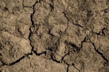 Dry Agricultural Brown Soil