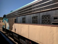 Eagle Train