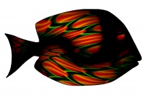 Fantasy Op-Art Tang Fish