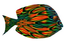 Fantasy Tang Op-Art Fish