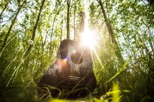 Guitar In Forest