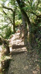 Marin County Trail