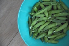 Pea In A Bowl