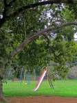 Playground Slide And Big Tree