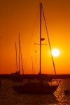 Sailboats At Sunrise