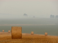 Straw Bales On The Field
