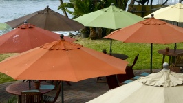 Table Umbrellas
