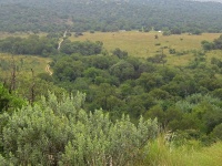 Valley With Grassland