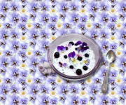 Yogurt With Blueberries