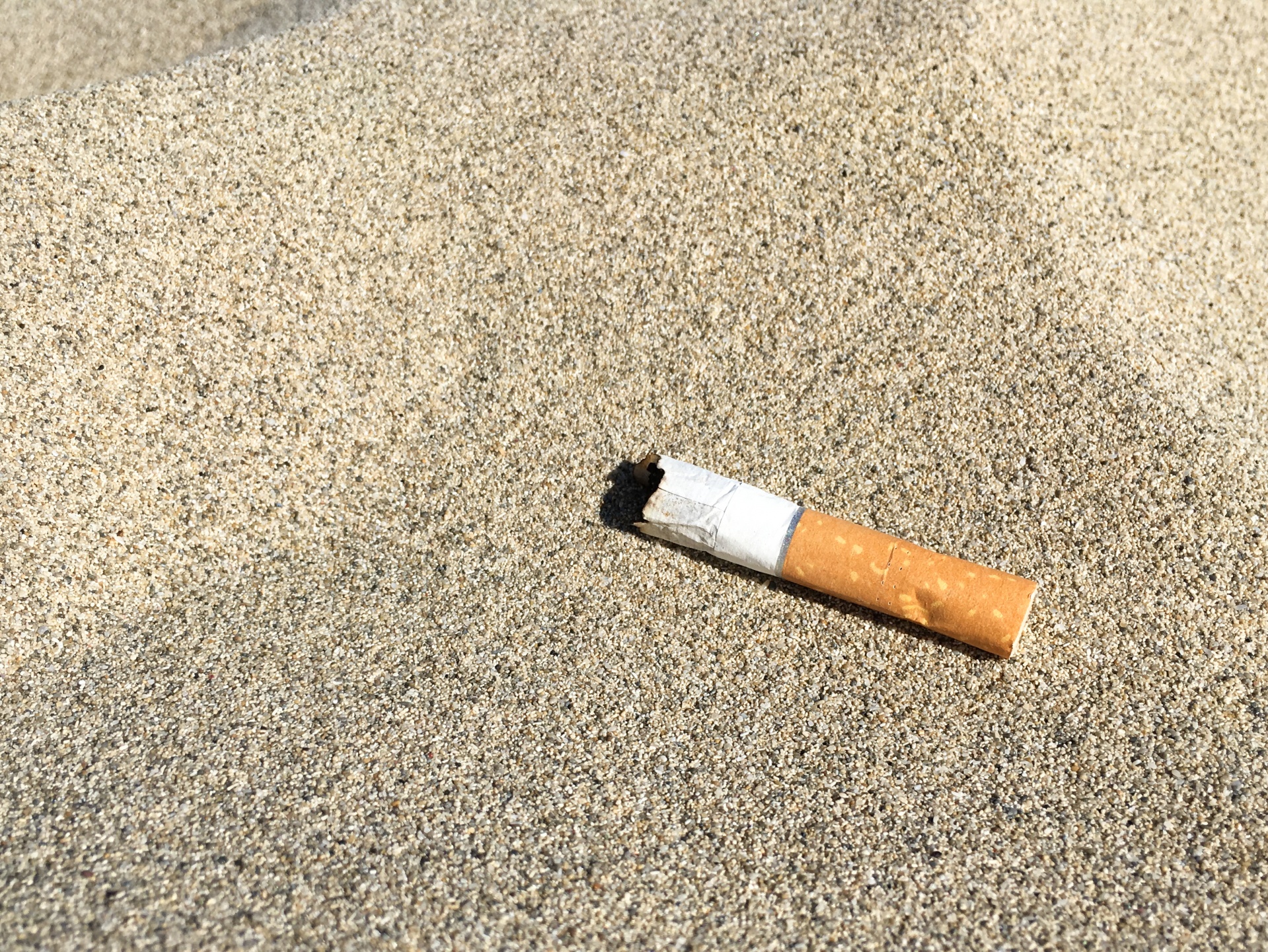A cigarette butt left on the beach
