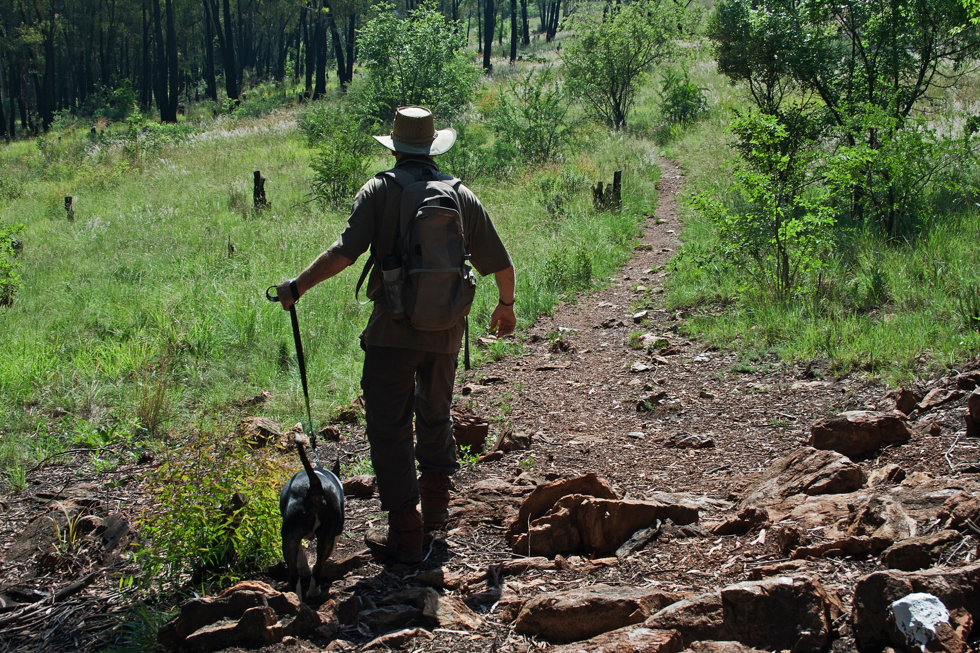 Hiker With Dog