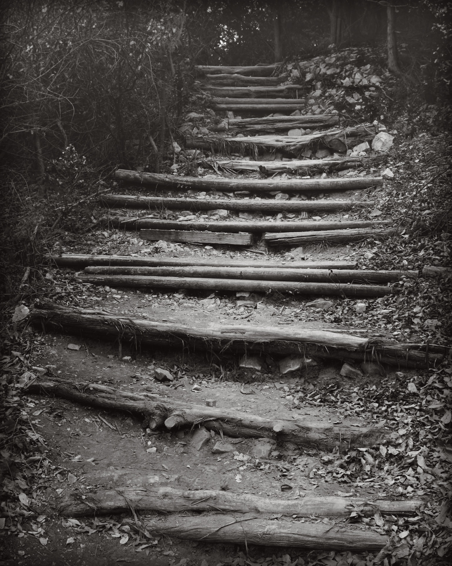 Hiking Stairs, Cedar Ridge Preserve, Dallas, Texas