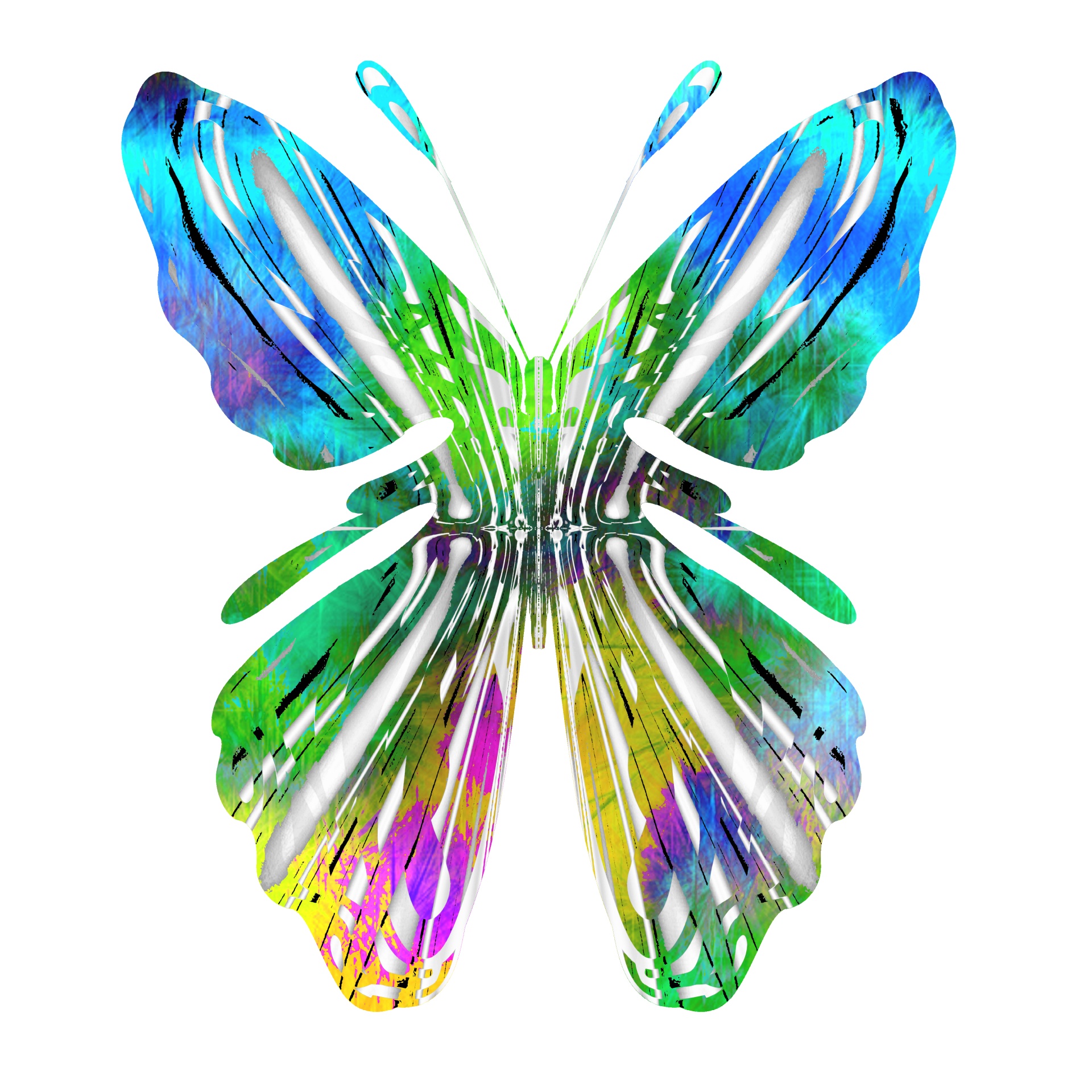 Beautiful butterfly with bright pink and green streaked wings like tiny jewels. The delicate insect shimmers with of pink and silver pearly opalescence. It adds the perfect touch in your home decor or becomes a collector's item