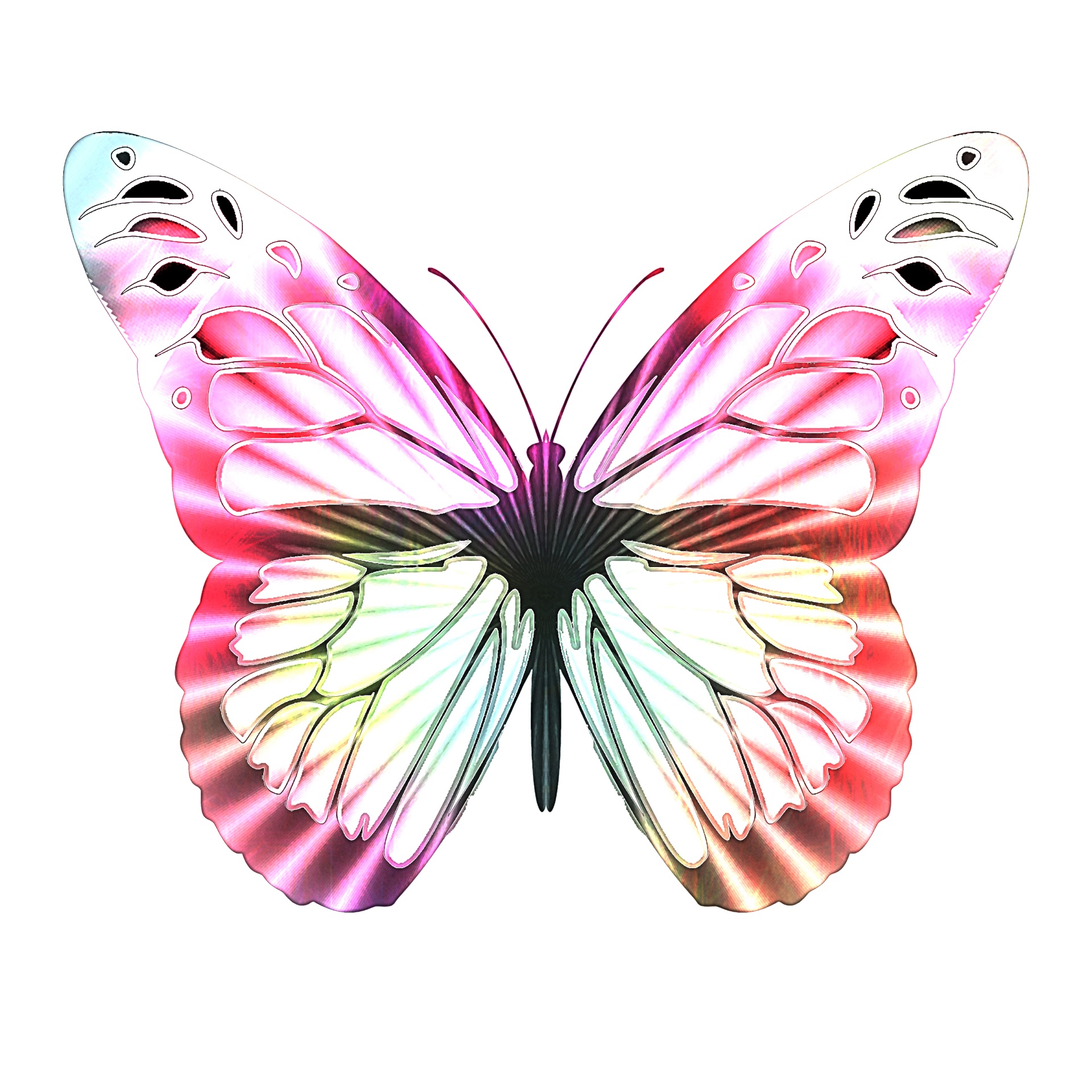 Pale pastel green and orange delicate butterfly illustration.