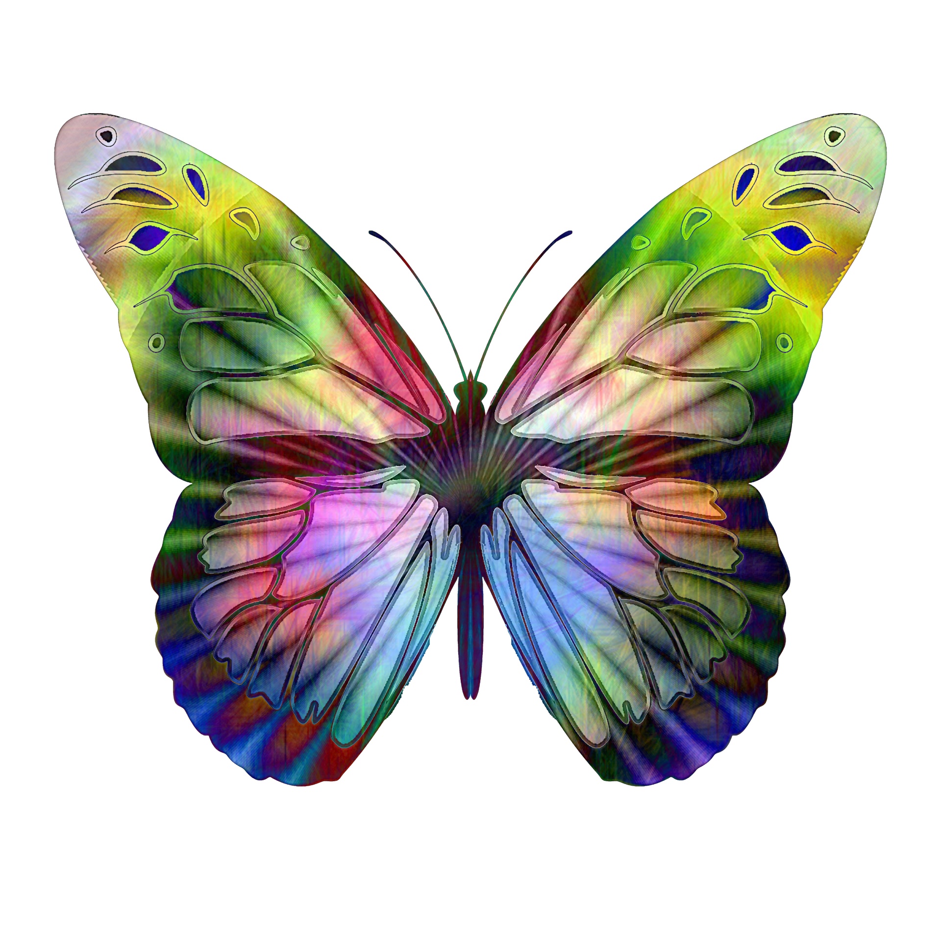 Op-Art Multi-Colored Butterfly