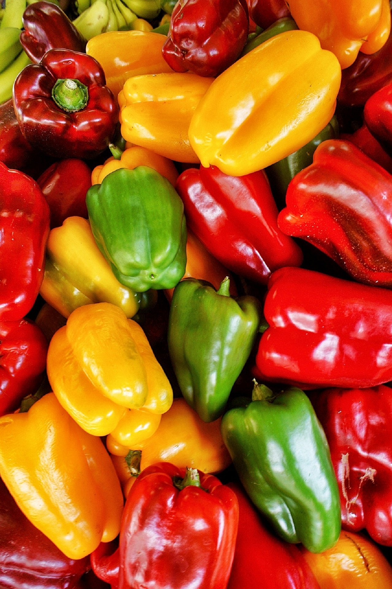 Colorful collection of varieties of bell peppers