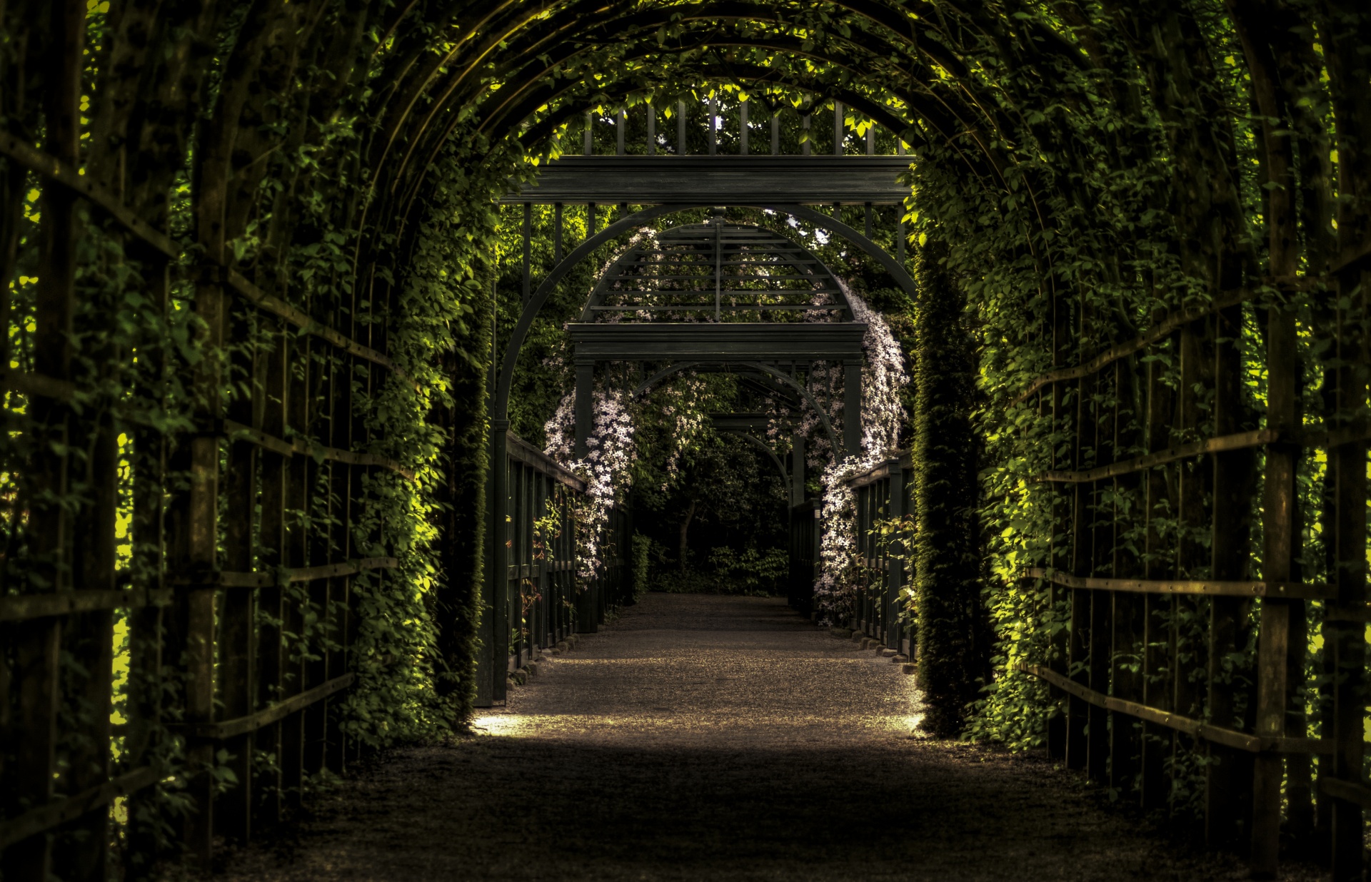 Garden Tunnel
