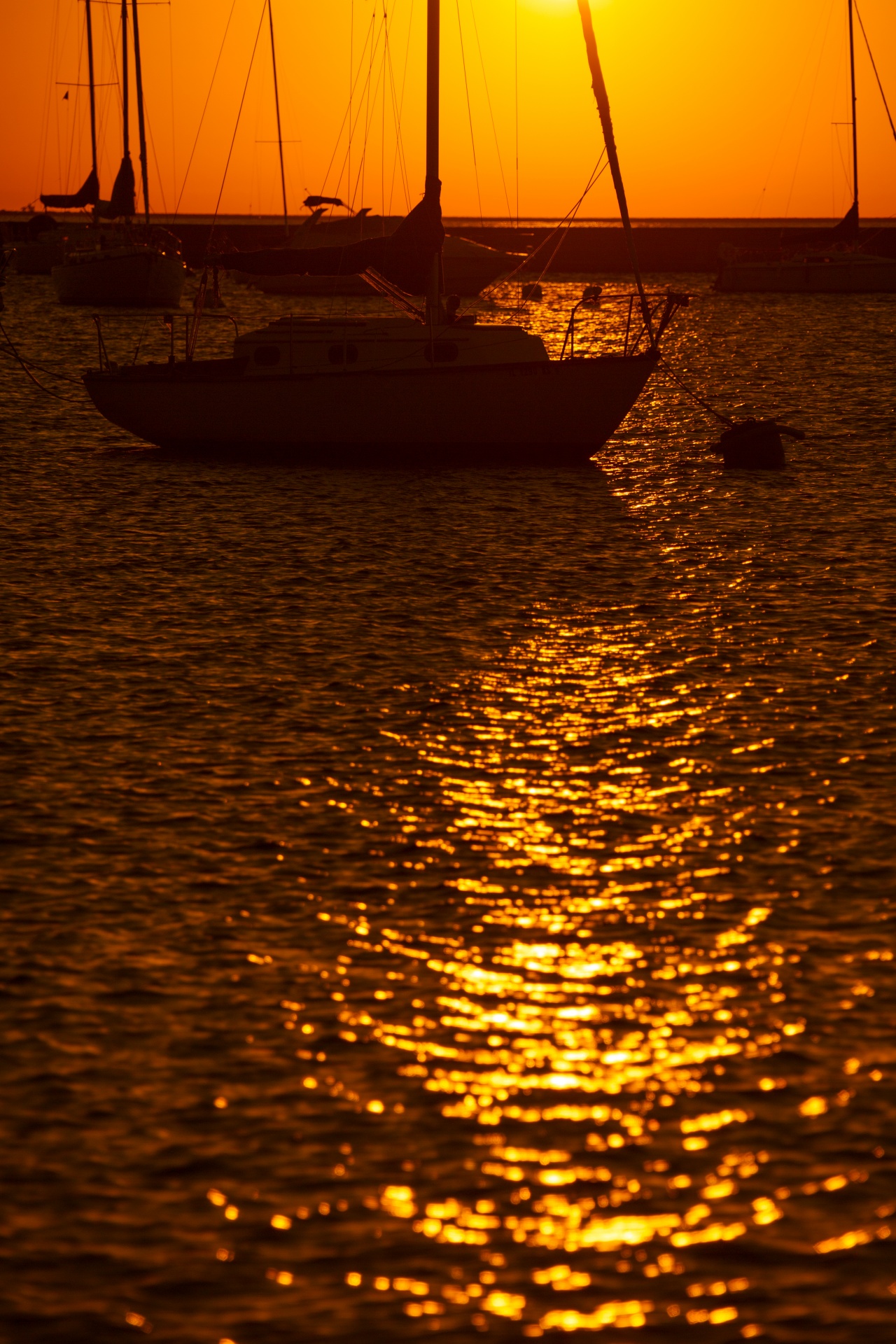 Sailboat silhouettes at marina at sunrise