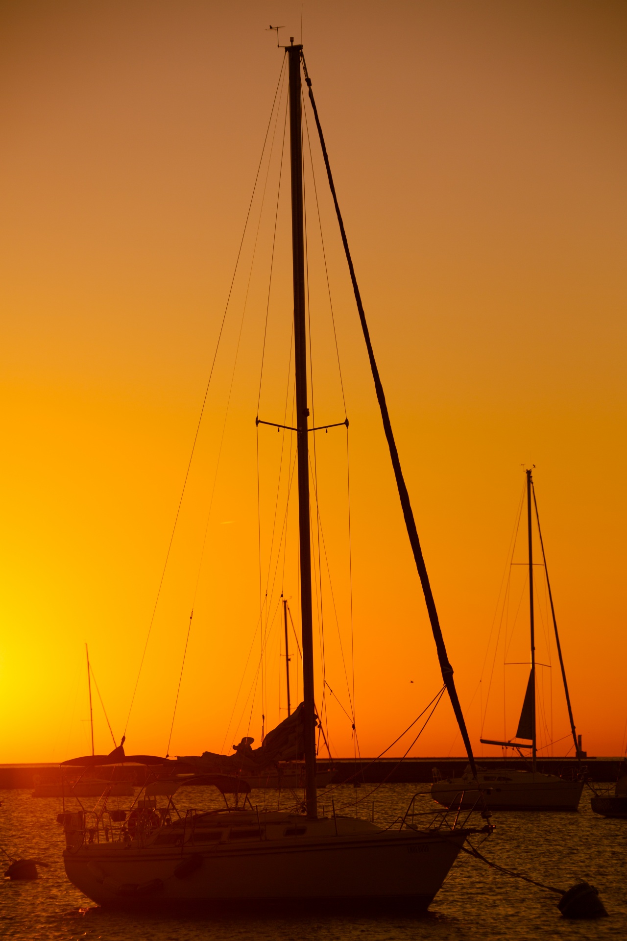 Sailboats At Sunrise