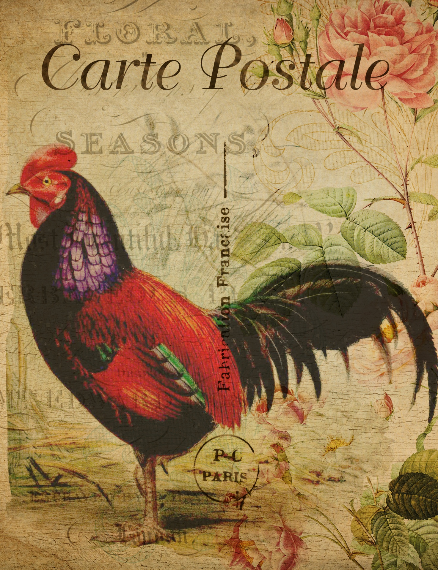 Vintage French Chicken Postcard