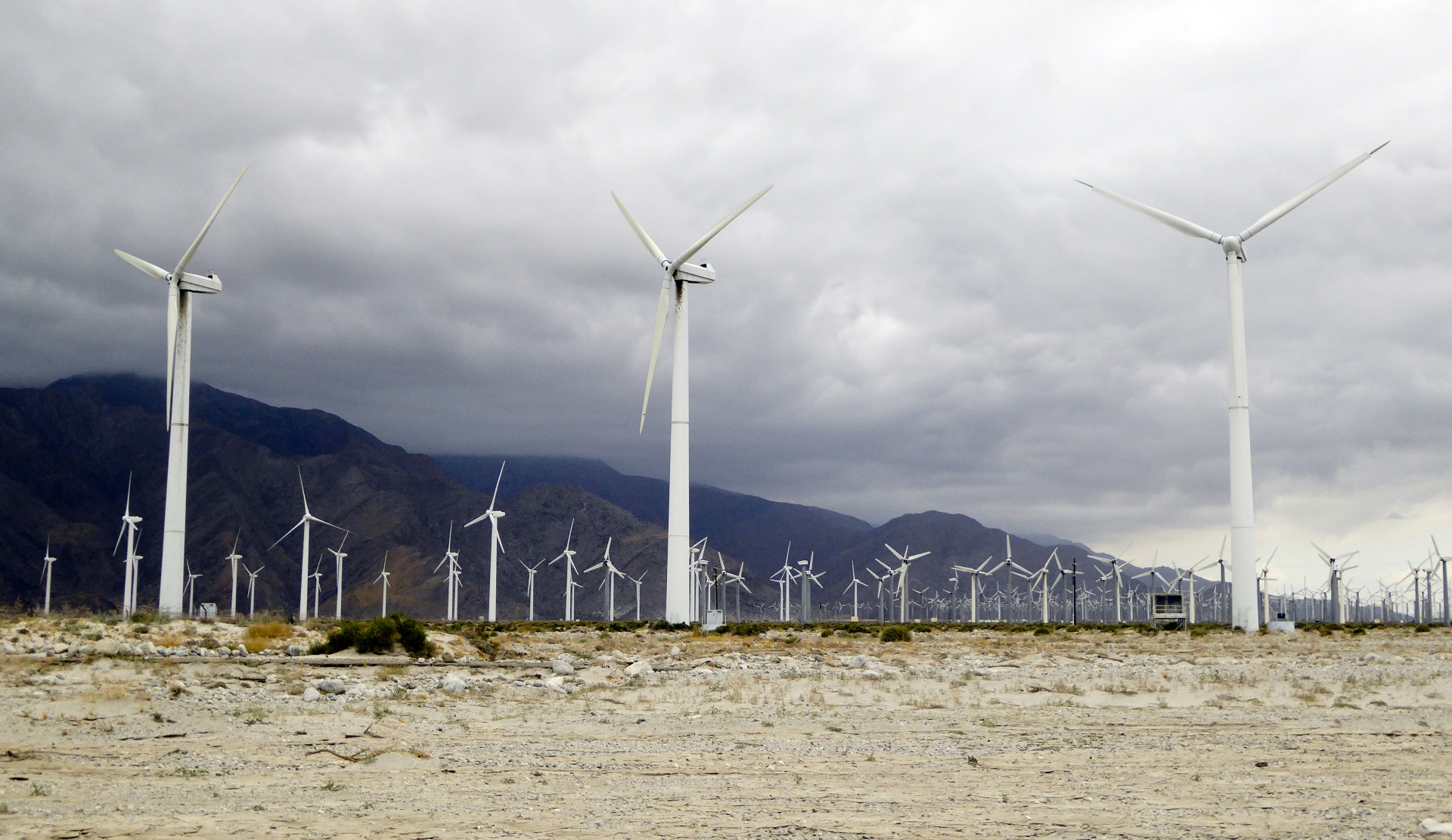 field of wind turbines in Palm Springs