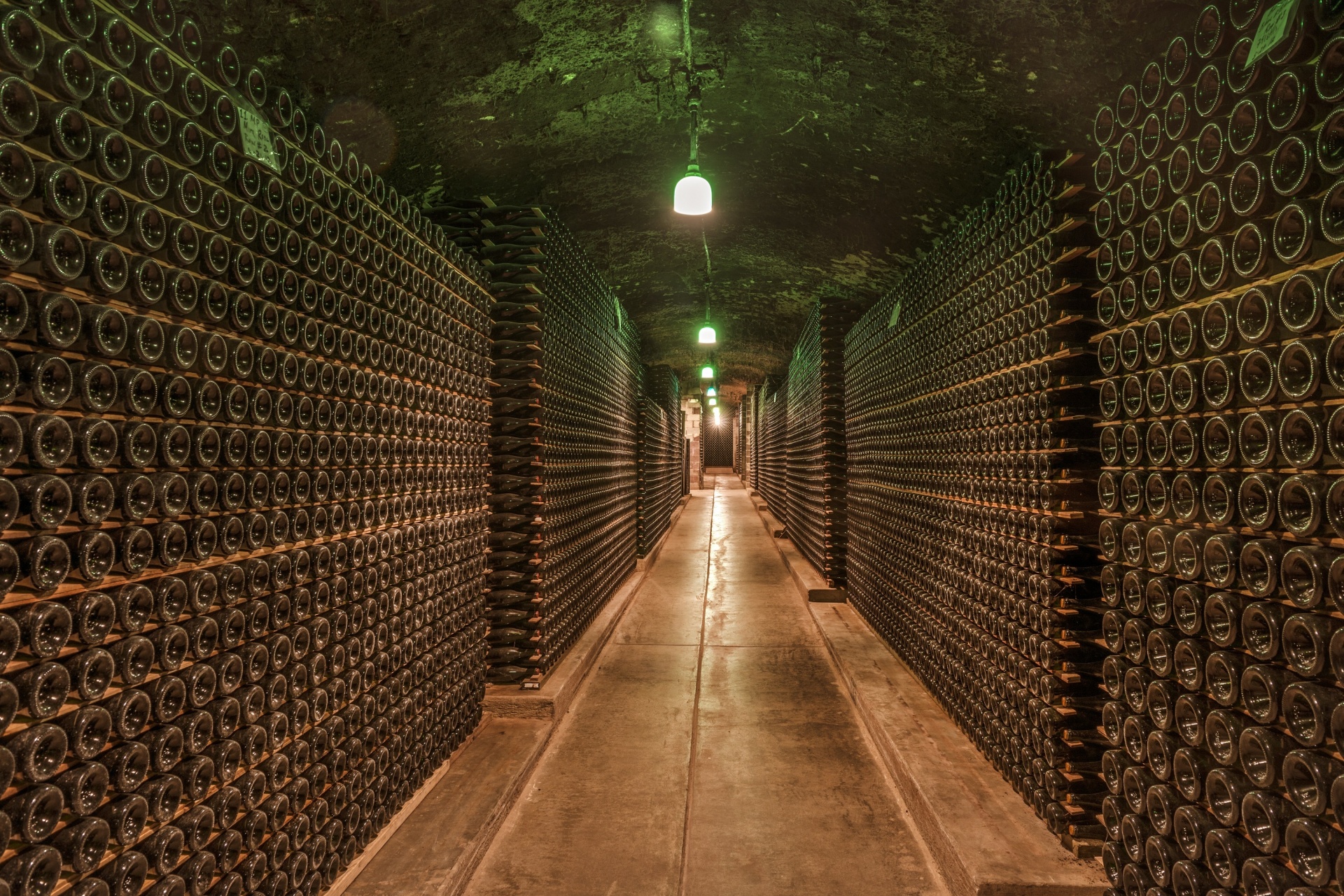Collection of bottles of wine in the wine cellar