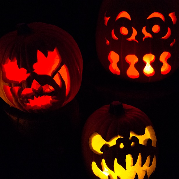 Halloween Jack O'Lanterns Free Stock Photo - Public Domain Pictures