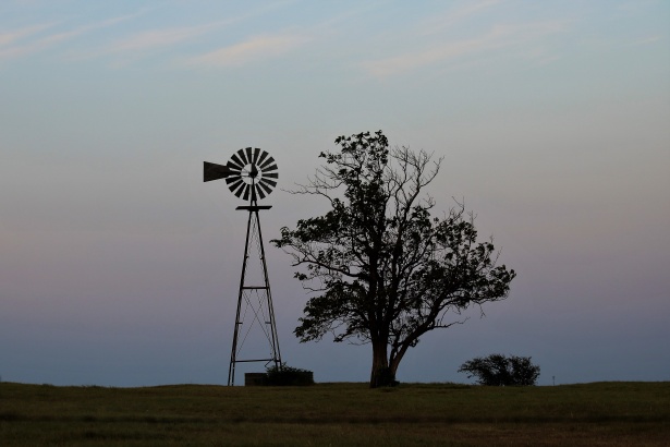 Moulin à vent et arbre au coucher du sol Photo stock libre - Public Domain  Pictures
