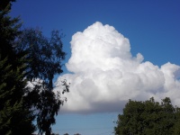A Cloud