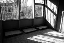 Abandoned Classroom Windows