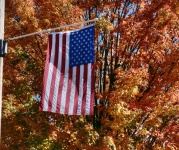 American Flag In Autumn