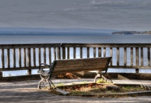 Bench Overlooking The Lake
