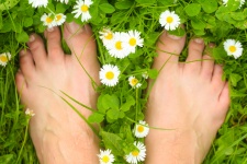 Bare Feet On The Green Grass