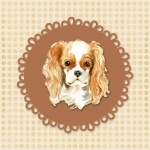 Cavalier Spaniel Dog Watercolor