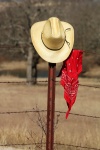 Cowboy Hat And Bandana On Fence