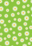 Daisy Flowers Wallpaper Pattern