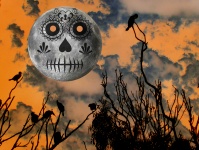 Day Of The Dead Moon