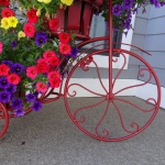 Decorative Bike