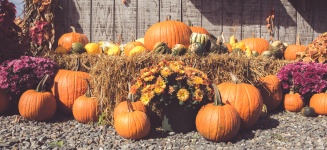 Fall Harvest Display