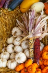 Fall Harvest Display