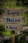 Giving Nature A Home