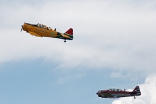 Harvards Flying In A Display