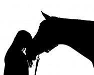 Horse Love Silhouette