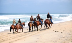 Horseback Riders