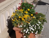 Impressionist Flower Pot