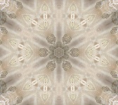 Lace Kaleidoscope Background