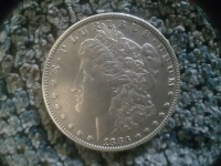 Morgan Dollar 4