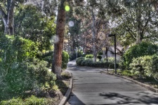 Neighborhood Walking Path