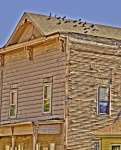 Old Clapboard Building