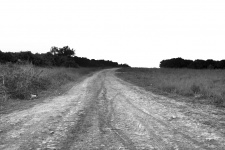 Open Dirt Road